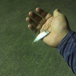 アジを求めてランガン