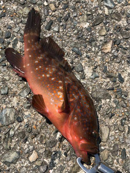 リフトアンドフォール