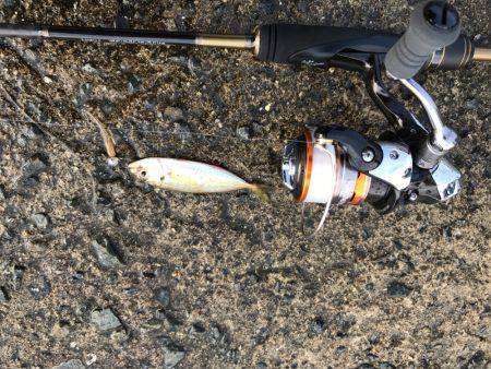 リハビリアジング。