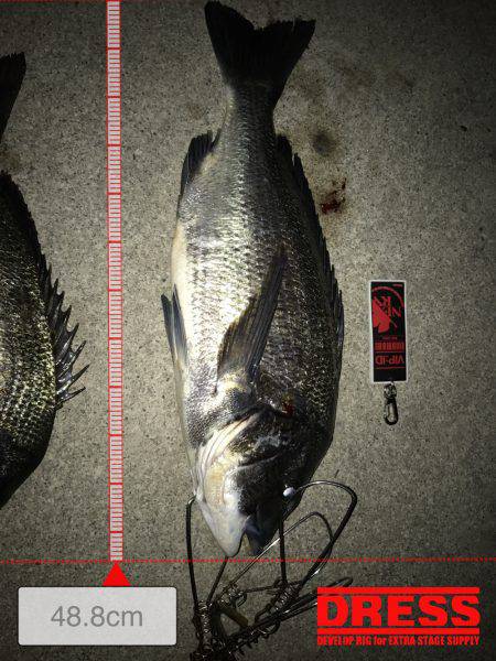 チヌポッパー宮川