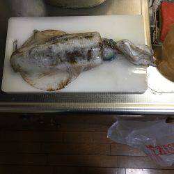 ケンサキ狙いのはずが…