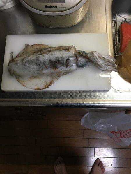 ケンサキ狙いのはずが…