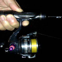 ちょっと生存確認するだけ