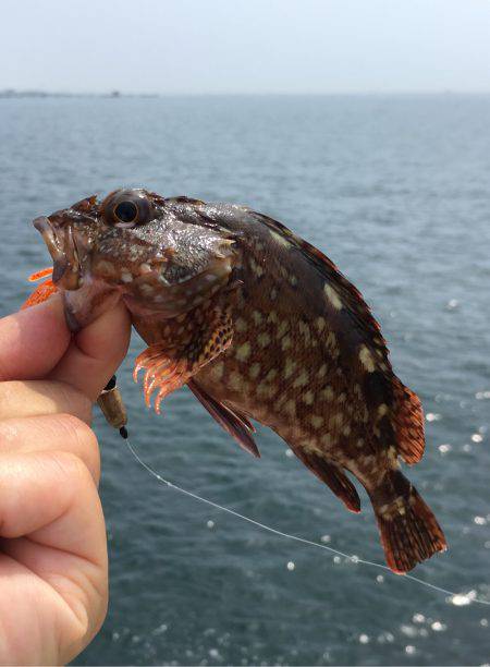 ライトロック、デイゲーム