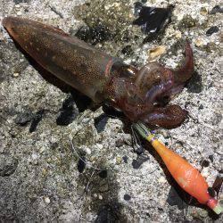 旬ものを探して。