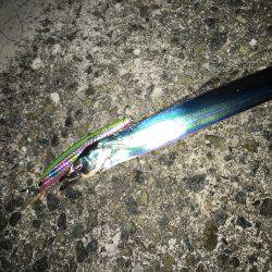 タチウオ 数は多い