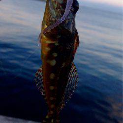 久しぶりのホーム