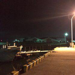 久しぶりのアジング