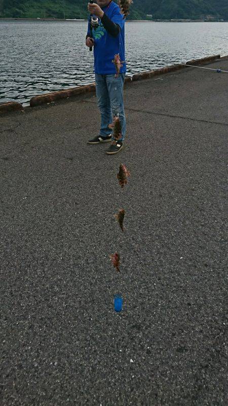 サババイブレーション