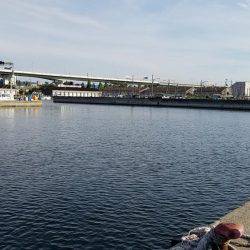 シーバス求めて