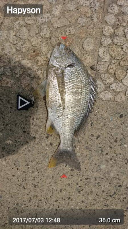 crowでトップゲーム