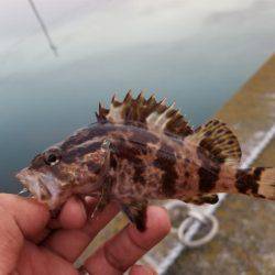 仕事終わりにライトワインド