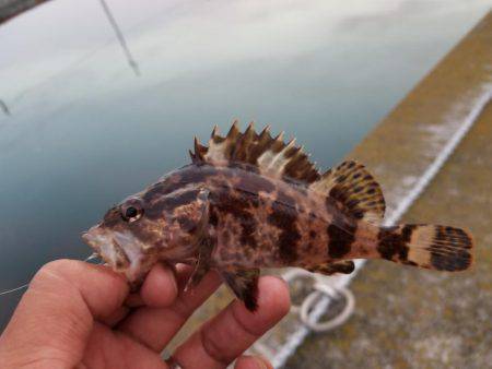 仕事終わりにライトワインド