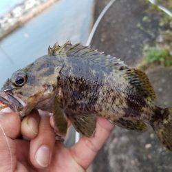 仕事帰りにライトワインド