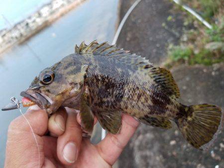 仕事帰りにライトワインド