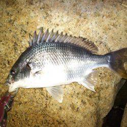 仕事帰りにちょっとだけ