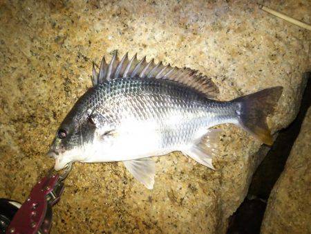 仕事帰りにちょっとだけ