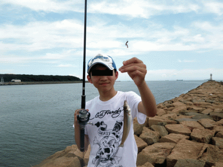 姫路キス(2017-3)