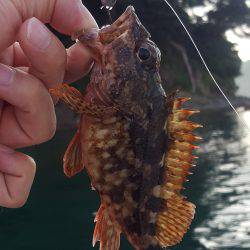 マイボートフィッシング