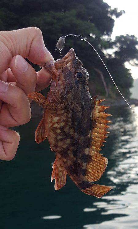 マイボートフィッシング