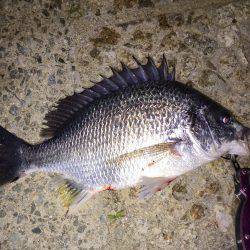 武庫川チニング