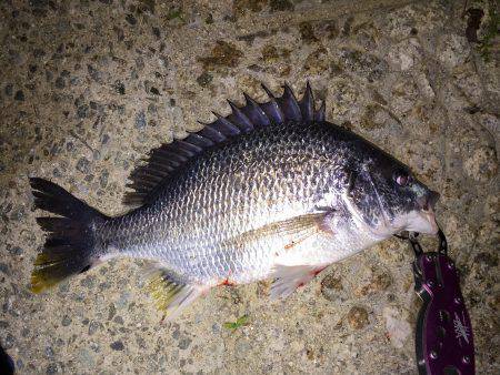 武庫川チニング