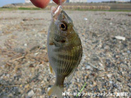 大キス狙いのはずが・・・まっいいか