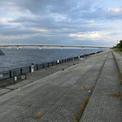 タチウオにダイソージグで挑戦