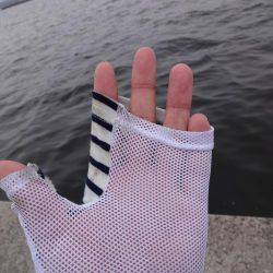 ツバス狙いでしたがゲット出来たのはサバちんでした。