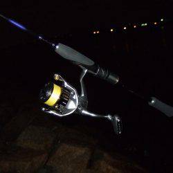 今年初キビレ！