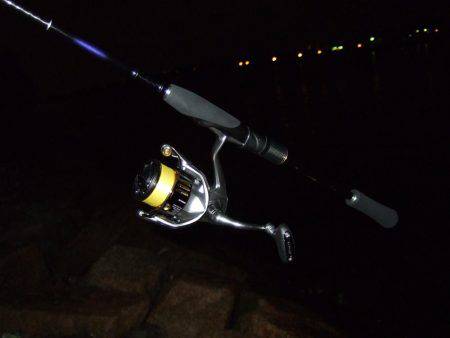 今年初キビレ！