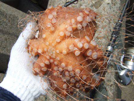 遠投＆深場狙い