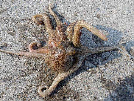 久しぶりのお持ち帰り！