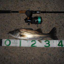 テトラ際でヒット♪