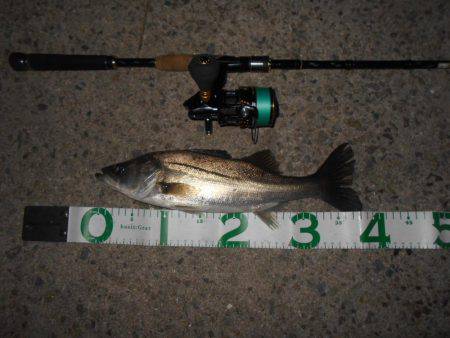 テトラ際でヒット♪