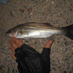 翌日は不調…。