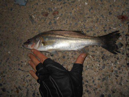 翌日は不調…。