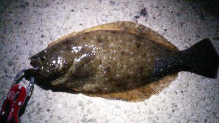 川棚港周辺にて