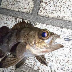 ストレス解消しました。