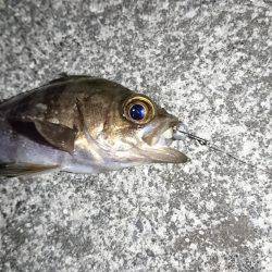 大阪からの帰りに、