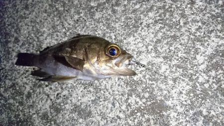 大阪からの帰りに、