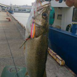 久しぶりの投稿＆停泊船ゲ―ム