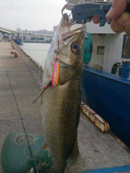 久しぶりの投稿＆停泊船ゲ―ム