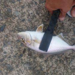 那佐湾と浅川漁港