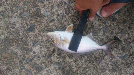 那佐湾と浅川漁港