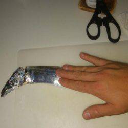 ケンサキエギング