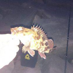 意地のガシリング