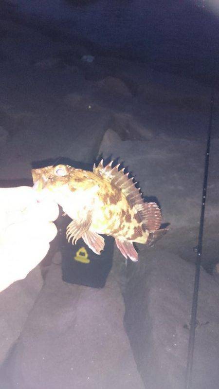 意地のガシリング