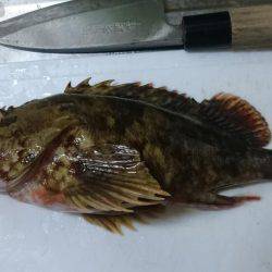 ひさしぶりの良形!