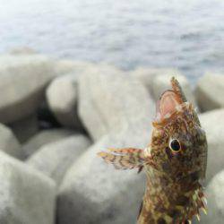 灘浜で投げる！